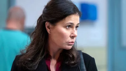 Poster del episodio 12 de Ley y orden (Law & Order) online