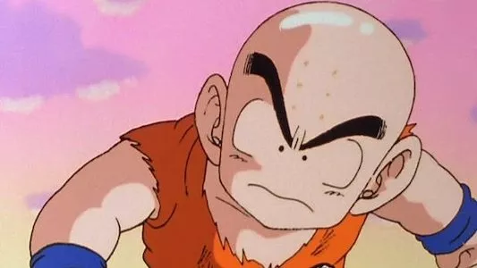 Poster del episodio 13 de Dragon Ball Z Kai online