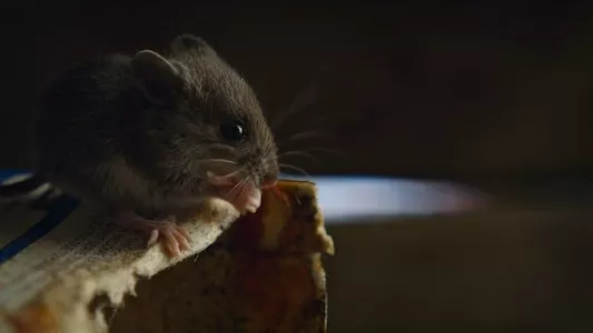 Poster del episodio 3 de Naturaleza de pesadilla online