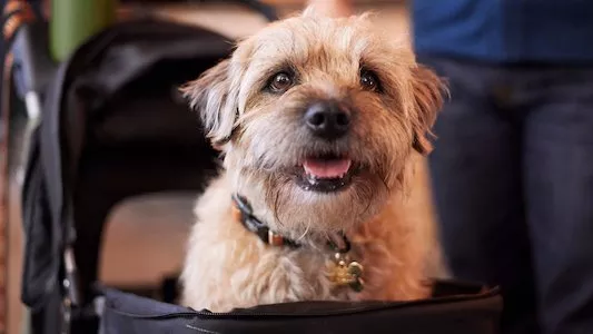 Poster del episodio 7 de Colin from Accounts online