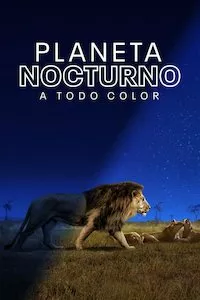 Pelisplus Planeta nocturno: a todo color