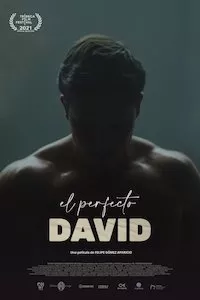 Pelisplus El perfecto David