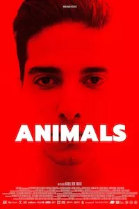 Image Animals