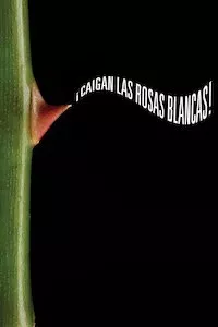 Image ¡Caigan las rosas blancas!