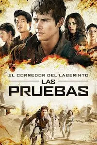 Pelisplus El corredor del laberinto: Scorch Trials