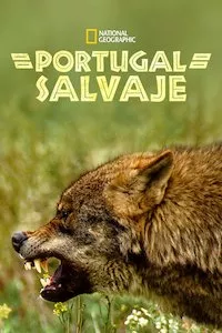 Pelisplus Portugal Salvaje