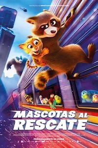 Image Pets on a Train