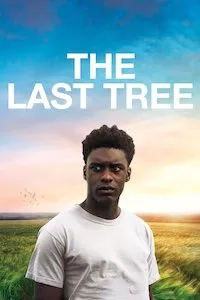 Pelisplus The Last Tree