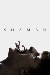 Image Shaman