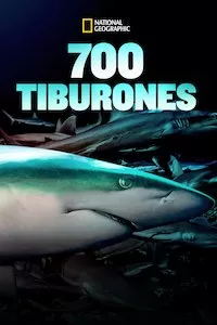 Image 700 Tiburones