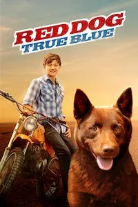 Pelisplus Red Dog: True Blue (Siempre estarás conmigo)