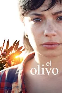 Image El olivo