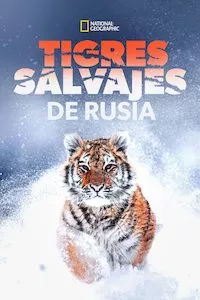 Pelisplus Tigres salvajes de Rusia