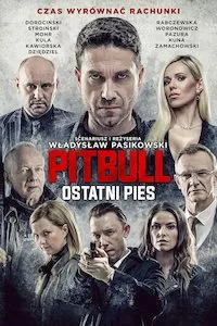 Pelisplus Pitbull. Ostatni pies