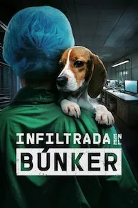 Image Infiltrada en el búnker