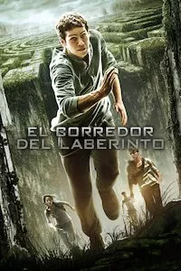 Pelisplus Maze Runner: Correr o Morir