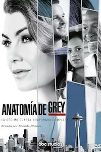 Pelisplus Anatomia de Grey