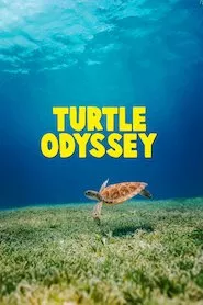 Pelisplus Turtle Odyssey