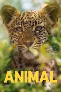 Image Animal (2021)