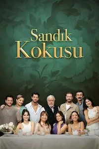 Pelisflix Amor sin límite