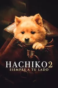 Pelisplus Hachiko