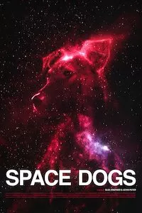 Image Space Dogs