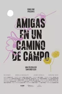 Pelisplus Amigas en un camino de campo