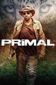 Image Primal