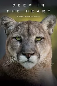 Image Deep in the Heart: A Texas Wildlife Story