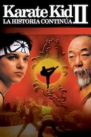 Pelisplus Karate Kid 2: la historia continúa