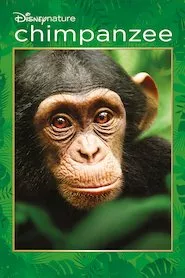 Pelisplus Chimpanzee (Chimpancés)