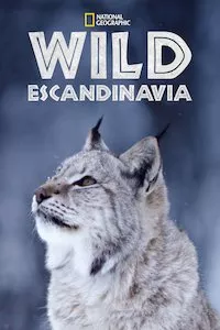 Pelisplus Escandinavia salvaje (Wild Nordic)