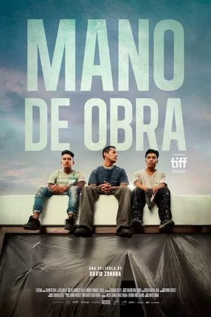 Pelisplus Mano de obra