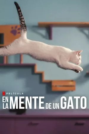 Pelisplus En la mente de un gato