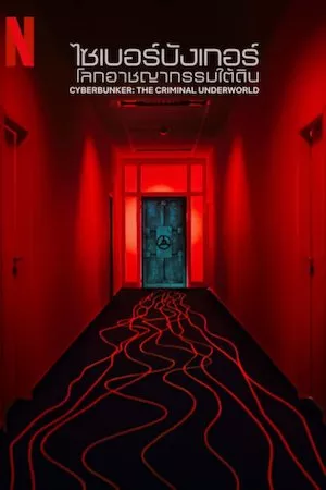 Pelisplus Cyberbunker: Darknet in Deutschland