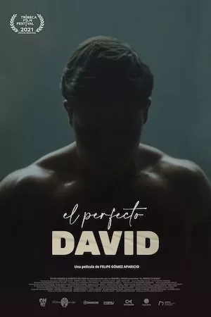 Pelisplus El perfecto David