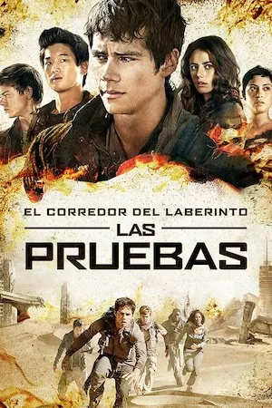 Pelisplus El corredor del laberinto: Scorch Trials