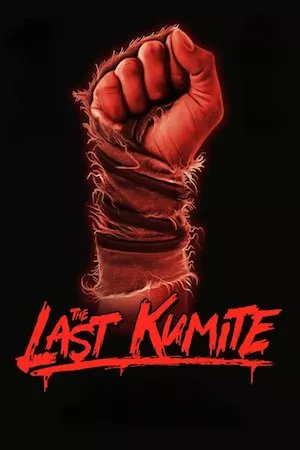 Pelisplus The Last Kumite