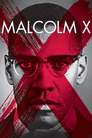 Pelisplus Malcolm X