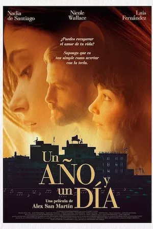 Ver Un año y un día online