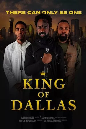 Pelisplus King of Dallas