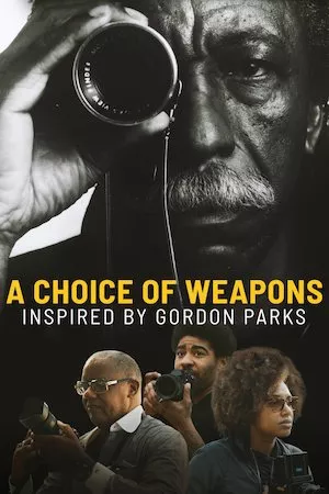 Pelisplus A Choice of Weapons: Inspired by Gordon Parks