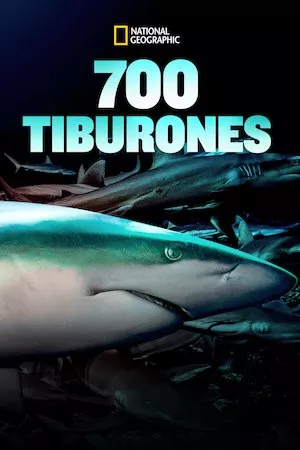 Pelisplus 700 Tiburones