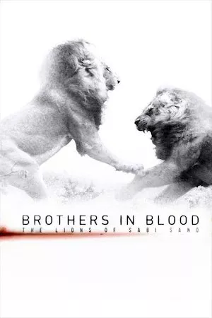 Pelisplus Brothers in Blood: The Lions of Sabi Sand (El rey de la manada)