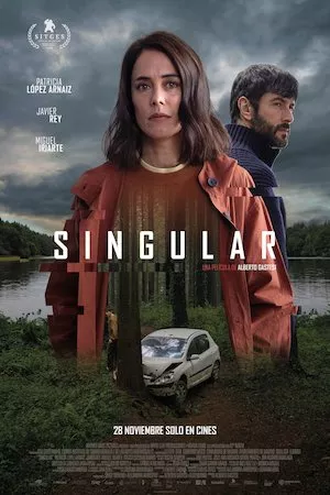 Poster Singular Online