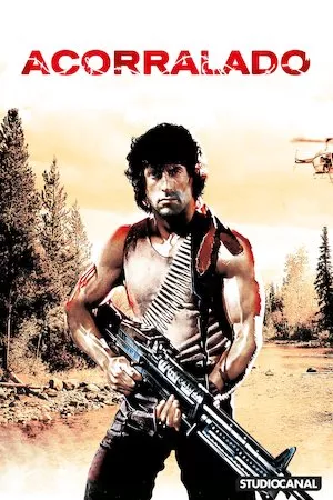 Pelisplus Rambo: First Blood