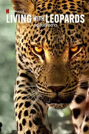 Pelisplus La vida entre leopardos