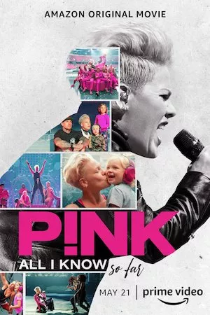 Pelisplus P!nk: All I Know So Far