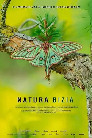 Pelisplus Natura Bizia