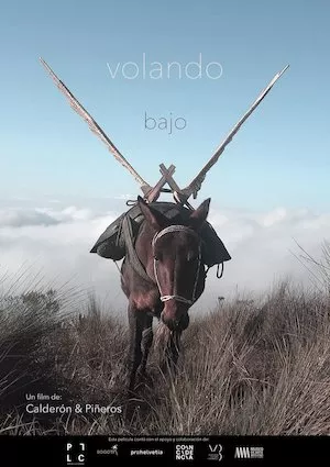 Pelisplus Volando bajo